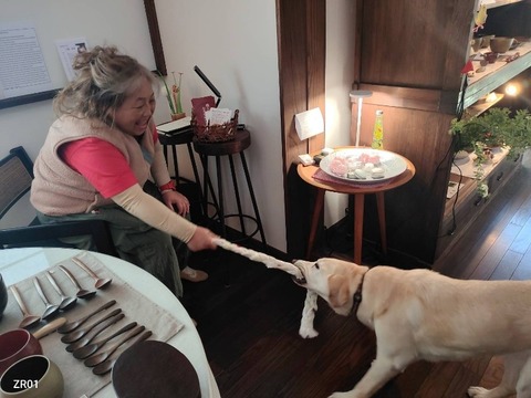 1773650762316_copy_800x600