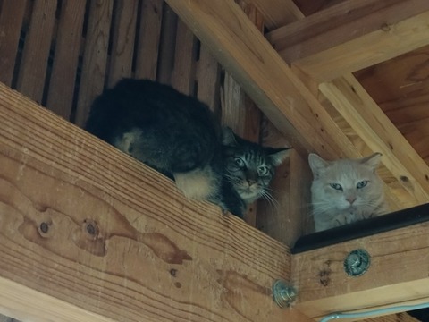 20251011_121826_copy_816x612