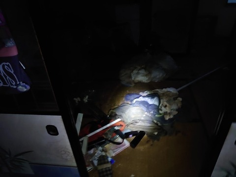 DSC_0034_copy_800x600