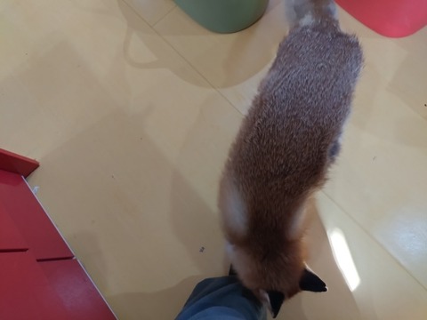 20260223_134249_copy_800x600