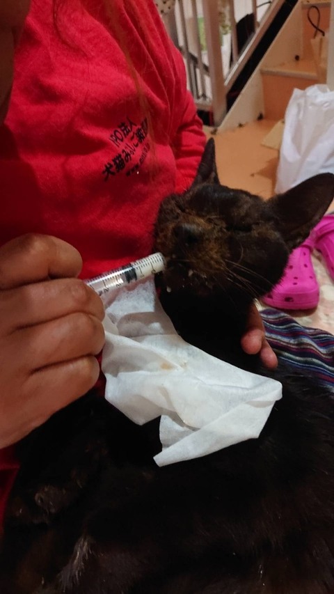 1547713724622-600x1066