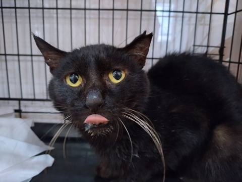 20251209_091518_copy_800x600