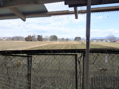 20260213_132138~2_copy_800x600