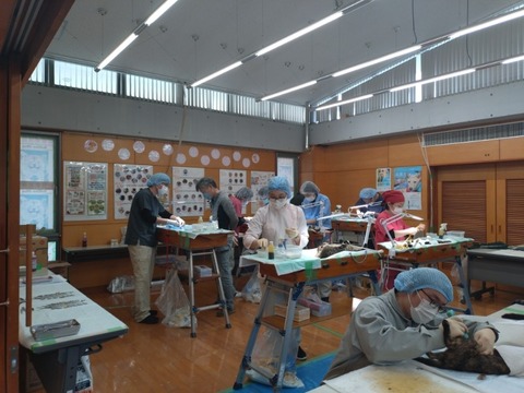 20251124_120948_copy_800x600