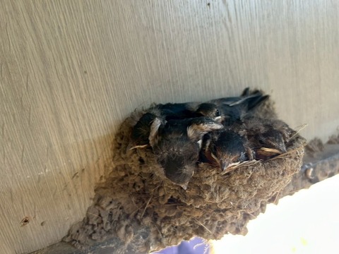 1761851933779_copy_738x554