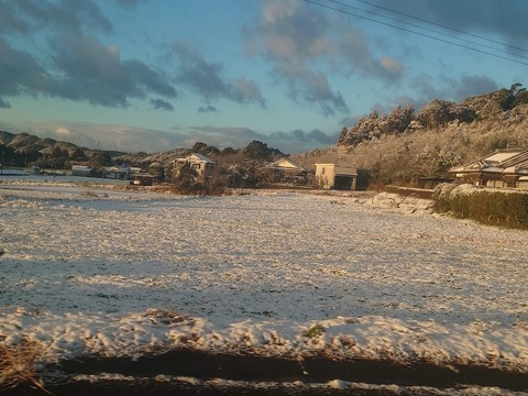 20240124_073548_copy_800x600