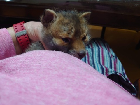 DSC_4647_copy_800x600