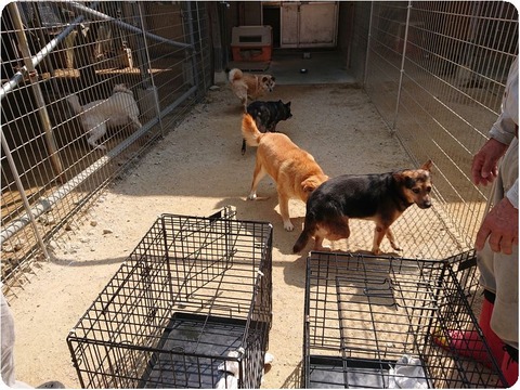 DSCPDC_0002_BURST20200501100