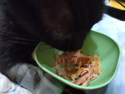 20250925_155421_copy_800x600