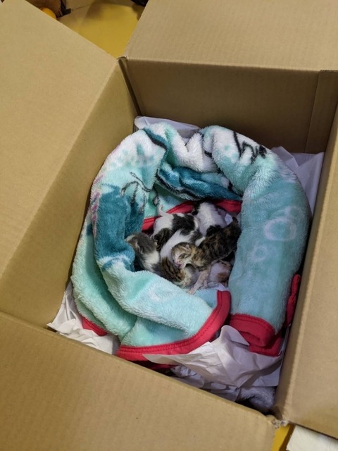 1616450020991_copy_600x800