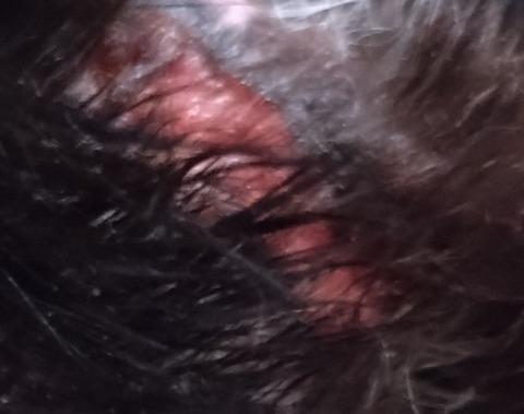 20251201_093331_copy_804x634