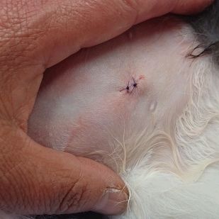 DSC_3413_crop_309x309