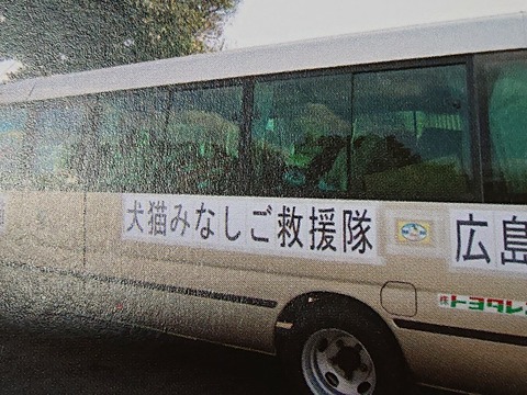 DSC_5938_copy_800x600
