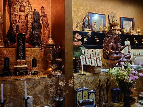 DSC_2656_copy_800x600