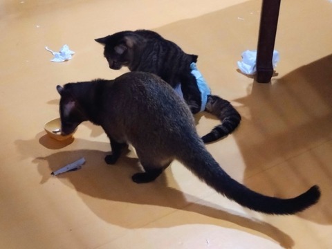 20260224_075159~2_copy_800x600