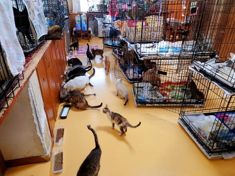 20230301_083825~2_copy_800x600