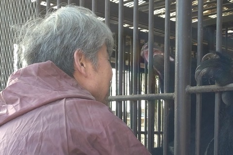 20260206_095039_copy_800x533