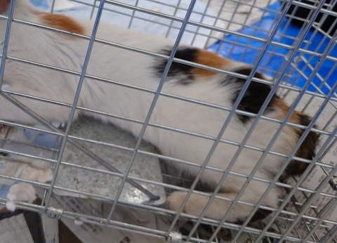 20230620_135210_copy_800x577