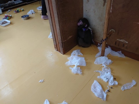 DSC_2764_copy_800x600