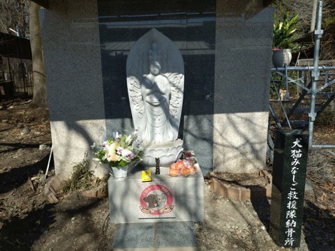 20260309_102549_copy_800x600