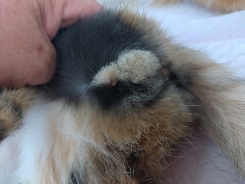 20251019_090211_copy_800x600