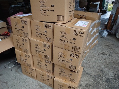 DSC_6592_copy_800x600