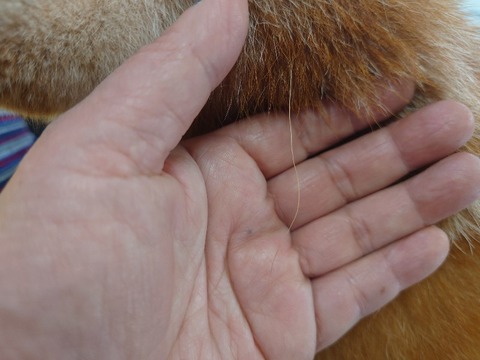 20240305_140618~2_copy_800x600