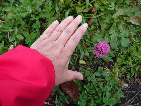 DSC_1876_copy_800x600