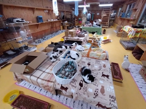 20251102_191355_copy_816x612