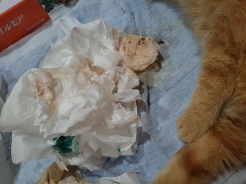 20260129_081021_copy_800x600