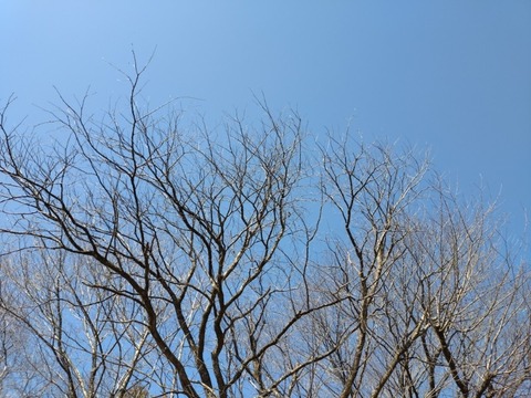 20260307_101111_copy_800x600