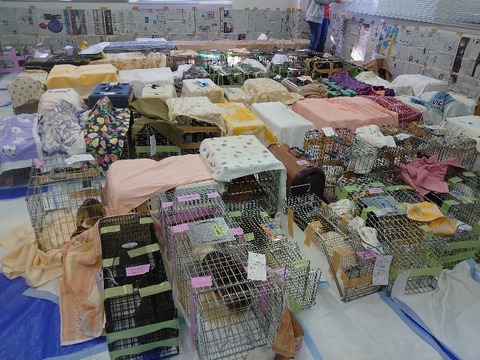 DSC_1646_copy_800x600