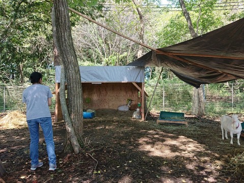DSC_2424-800x600