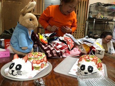 line_382044854231240_copy_800x600