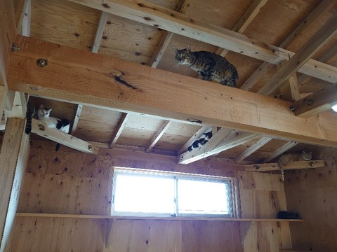 DSC_1277_copy_800x600