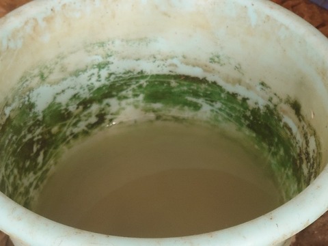 DSC_5986_copy_800x600