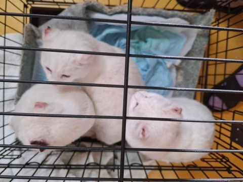 1766448106600_copy_738x554