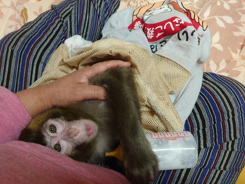 DSC_5017_copy_800x600