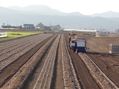 DSC_0307_copy_800x600