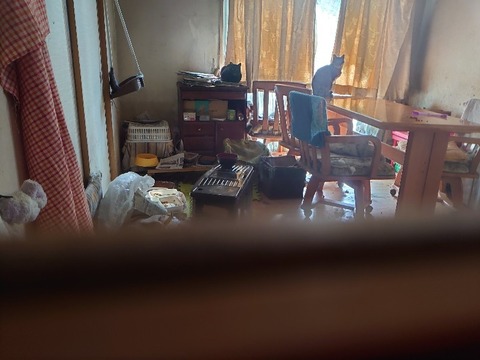 DSC_3310_copy_800x600