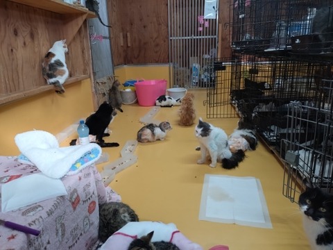 20260316_080748_copy_800x600