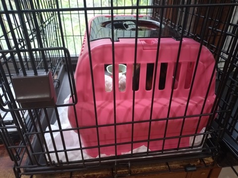 20251003_084041_copy_800x600