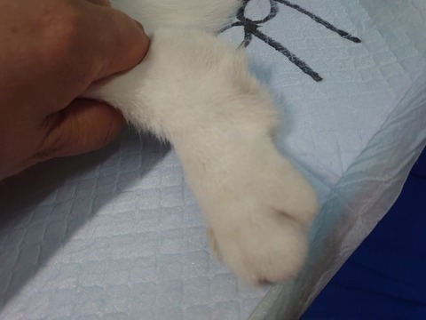 DSC_1301_copy_800x600