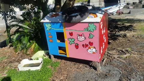 1544932385827-800x450