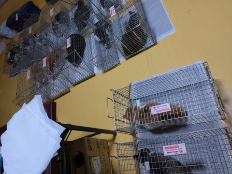 20251217_180401_copy_800x600