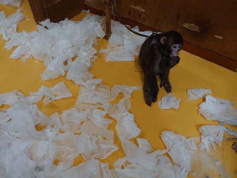 DSC_2671_copy_800x600