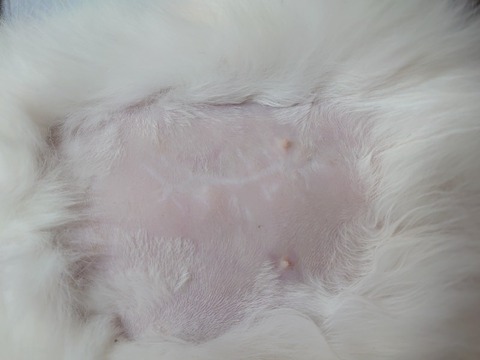 DSC_1236_copy_800x600