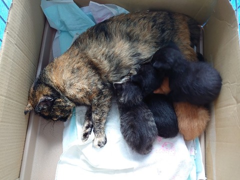 DSC_5679_copy_800x600