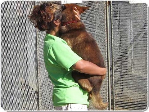 テツとおばちゃん3拡大[1]