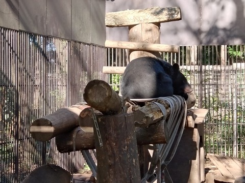 20251105_085658_copy_816x612